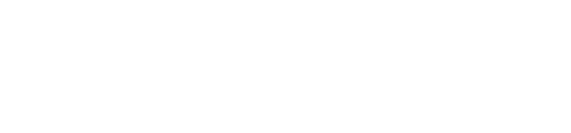 les echos logo